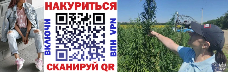 Наркошоп купить ГАШ  Alpha-PVP  Псилоцибиновые грибы  Каннабис  Мефедрон  Пустошка