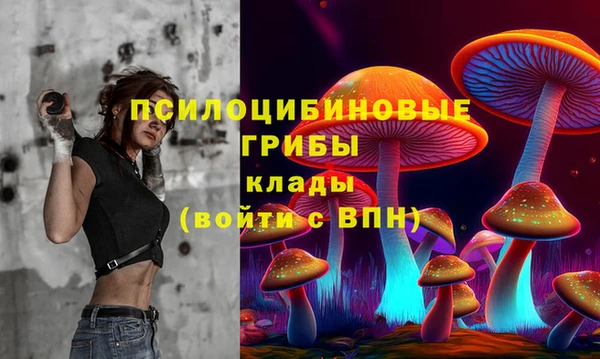 молекула духа Куйбышев