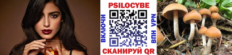 Купить где Пустошка Галлюциногенные грибы Psilocybe